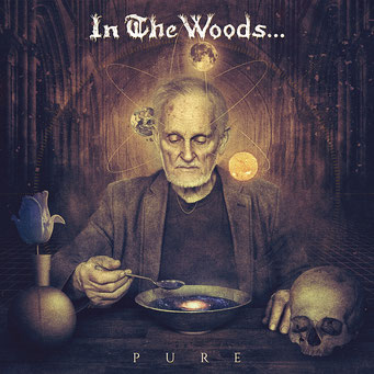IN THE WOODS - "Pure"