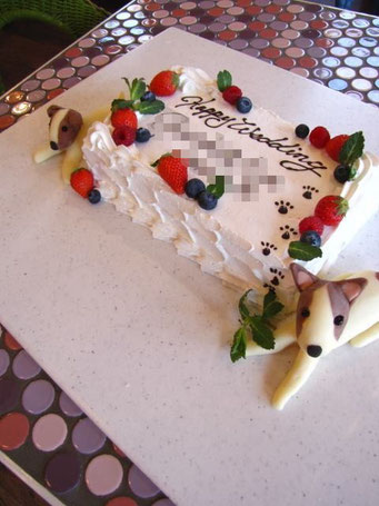 8名様分ケーキ　チョコレート犬
