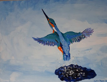 Eisvogel