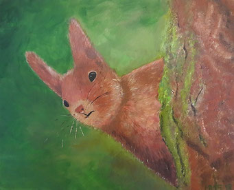Eichhörnchen