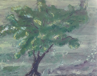 Baum