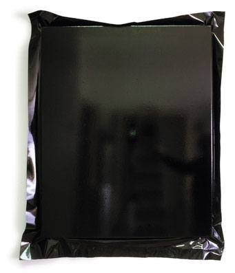Chariessa, 1990, polyester film on canvas, 80x100 cm