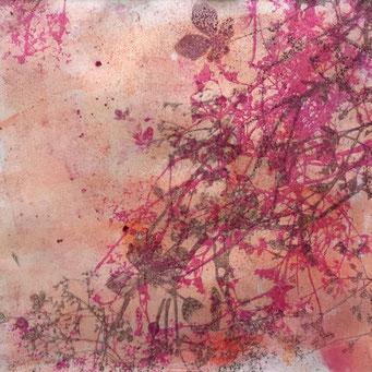 Hortensie (rosa), Paper Plate Lithography, Ölfarbe auf Steinpapier