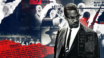 Qui a tué Malcolm X ? (x2) / Netflix