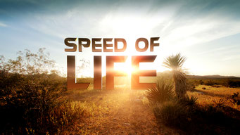Speed of life (x1) / Discovery