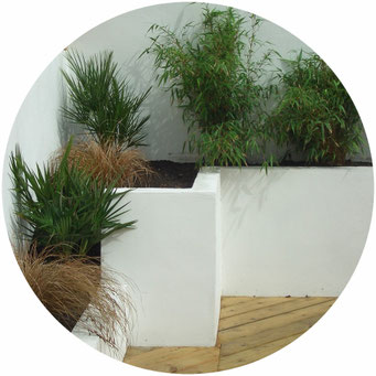mixed level planting