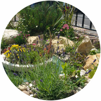 rockery
