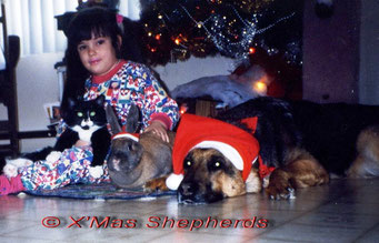 Xmas Joys