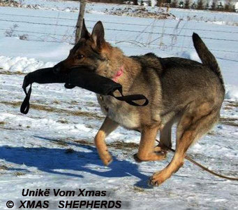 Unikë Vom Xmas