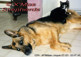 Xmas Joys