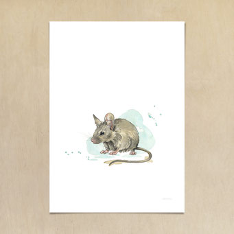 Aquarellbild einer Maus - Anleitung watercolor Bild