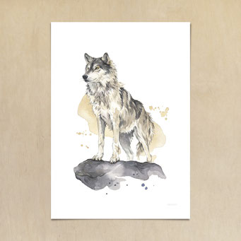 Aquarellbild Wolf - Anleitung watercolor Bild