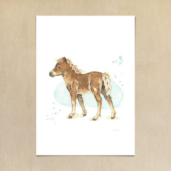Aquarellbild eines Pony Fohlens - Anleitung watercolor Bild
