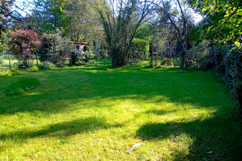 Der Garten ist komplett umzäunt.