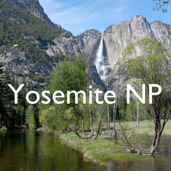 USA Südwesten Yosemite  Reiseblog