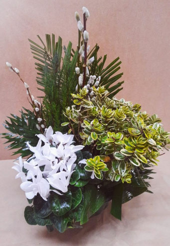 Composition de plantes fleuries tons blancs assorties de Conifère panachés