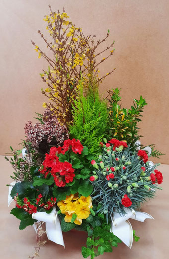Composition de plantes fleuries tons jaunes et rouges assorties de Conifère panachés