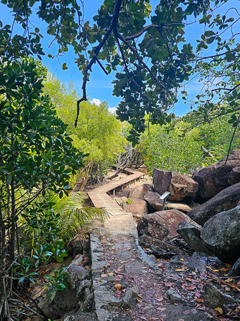 Badamier trail auf Curieuse Island Seychellen