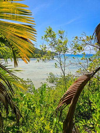 Badamier trail auf Curieuse Island Seychellen