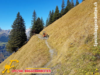 Spezial-Baggerarbeiten Adrian Krieg GmbH, Eschenbach Telefon 079 586 32 47 Naturstrassenbau Alpstrasse Alpweg Wanderweg Maschinenweg Strassensanierung Wegsanierung