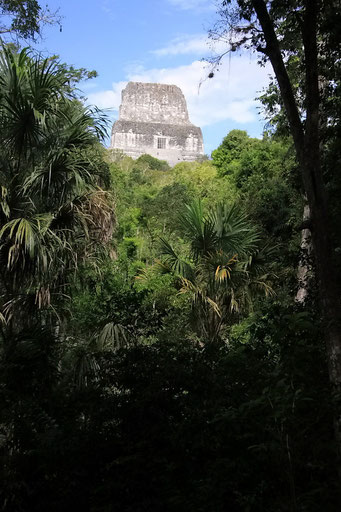 Tikal