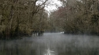 Mystische Manatee Springs State Park, FL, USA