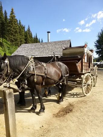 Freilicht-Museum, Barkerville