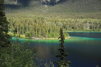 See am Cassiar Highway, British Columbia