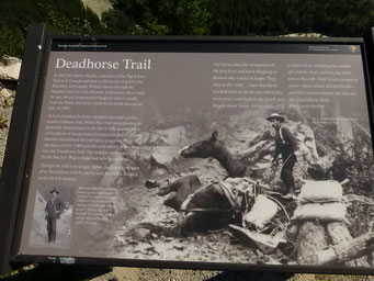 Auf den Spuren des Klondike-Goldrausches, White Pass, Alaska