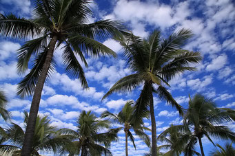 Mazatlan Himmel