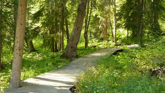 Boardwalk zu den Liard Hot Springs, Alaska Highway, Kanada