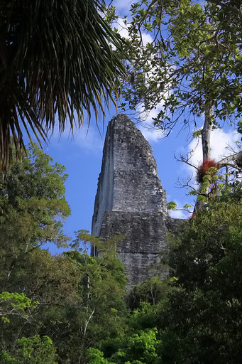 Tikal