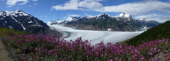 Salmon Glacier bei Hyder, Alaska