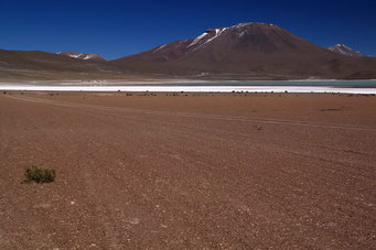 Der wilde Südwesten des Altiplanos