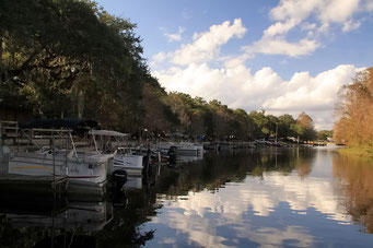 Everglades wie im Bilderbuch - Lake Kissimmee