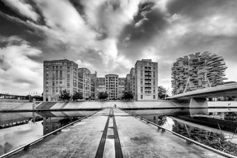 8 Michel Paret