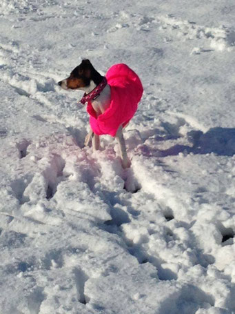 21.01.2016 - Aisha die Pink Lady *-*