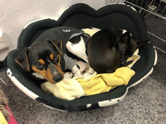 23.05.2019 - hier mit freundin Enja