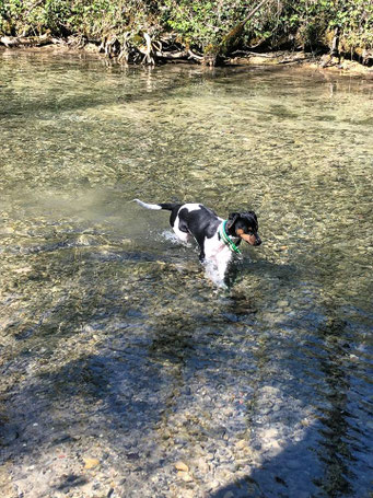 20.04.2019 - Danny hat nicht mal vor Wasser respeckt ;-)