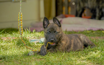 In alles leuk.. lieve Bruin.. gezellig alleen, gezellig samen of in de hele groep.  