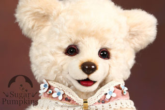 SugarPumpkins TOP - Sugar Pumpkins テディベア オリジナル