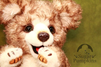Sugar Pumpkinsのハンドメイドテディベア