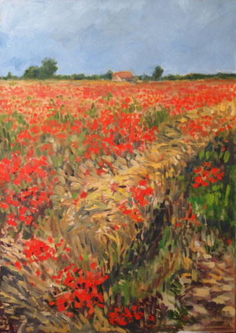 Poppy Field  Öll_Lwd.50x70cm