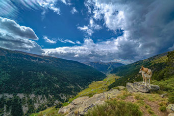 Pyrenäen # Andorra
