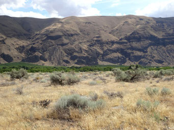 Trapp de Steens- Columbia River (États-Unis)