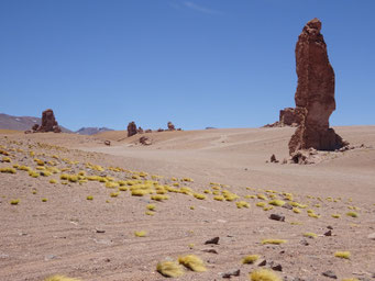 Monjes de la Pacana (Chili)