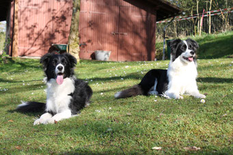 Lucy und ihre Schwester Catch