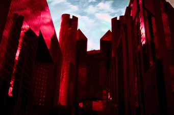 The Red Castle