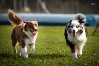 Gracy und Bonnie :)