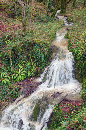 Résidence-mission, Nous sommes tous un ruisseau s'écoulant vers l'Océan, 2020-2021